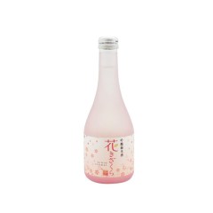 Bouteille en verre de Saké Japonais Hana Junmai Ginjo 11.5° 300ML KIZAKURA